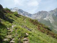 Youri - Ecrins 2005 344